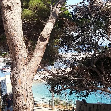 Appartement Millelire Cala Gonone